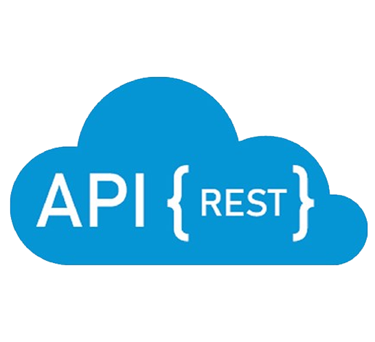 REST API icon